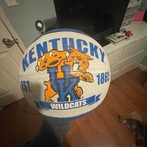 Blue and white basketball. Tiny bit flat but easy to blow back up